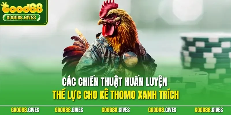 Các chiến thuật huấn luyện thể lực cho kê thomo xanh trích